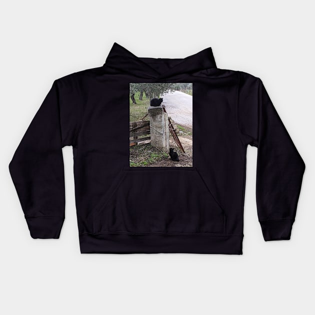 The Solace of Cats Kids Hoodie by aeolia